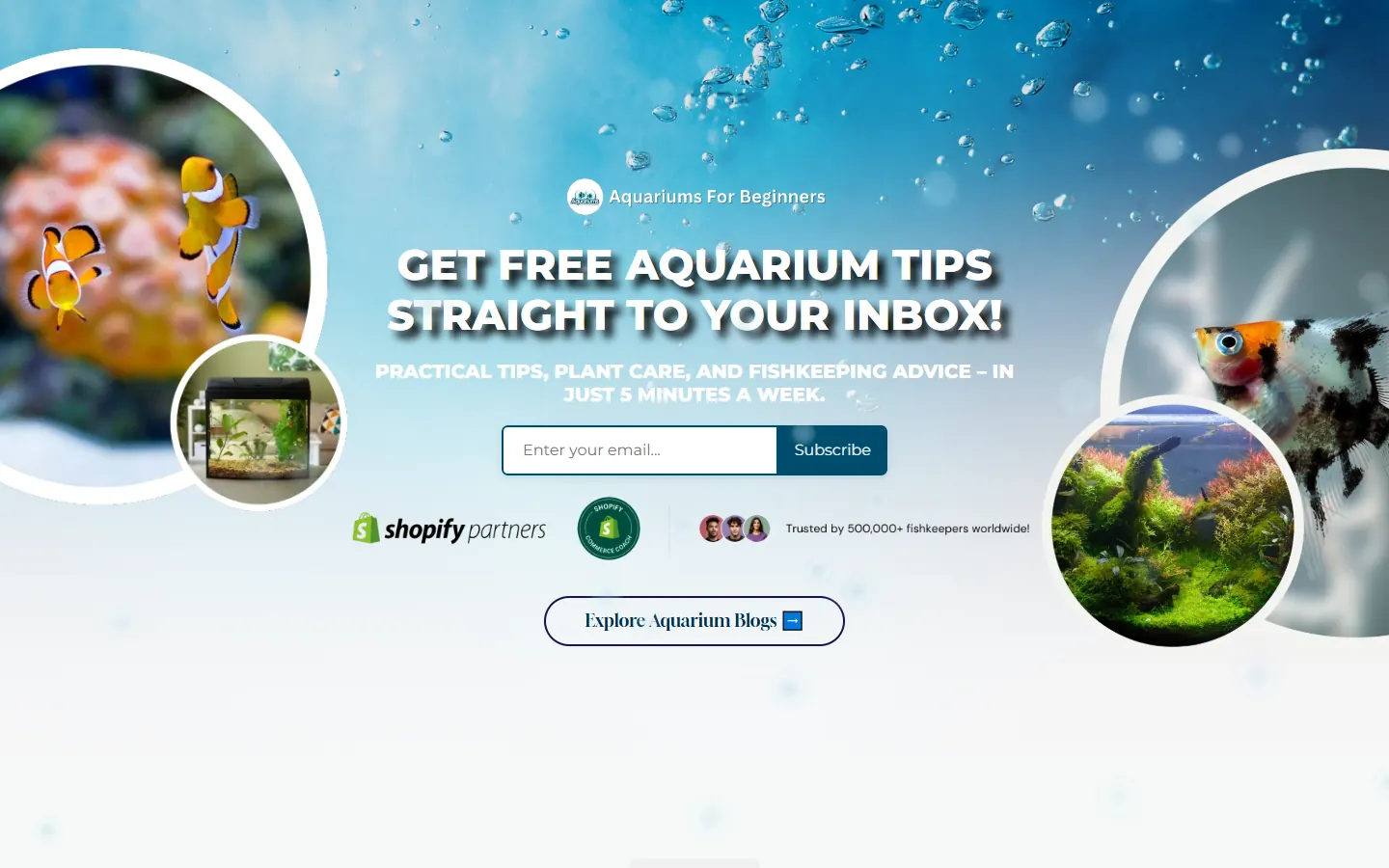 Homepage of aquariumsforbeginners.com, the aquarium education store I ran